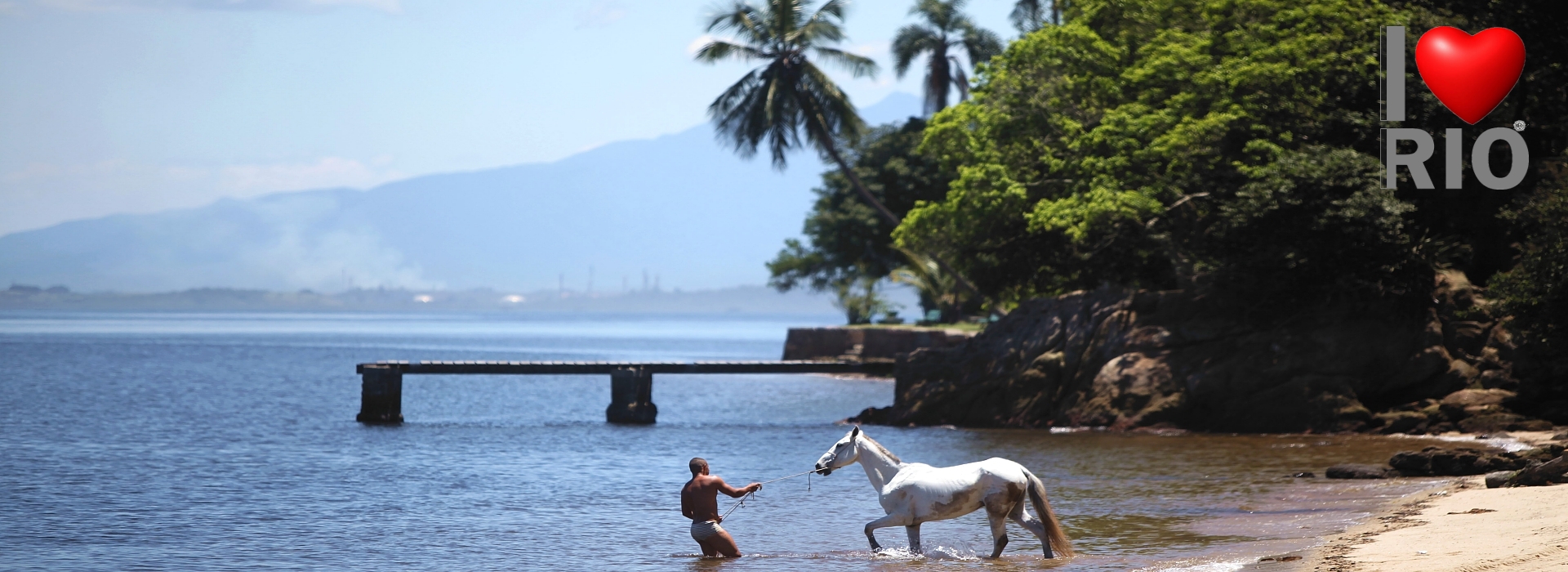  Rio de Janeiro, Brazil - man and horse on paqueta island, in rio de janeiro city